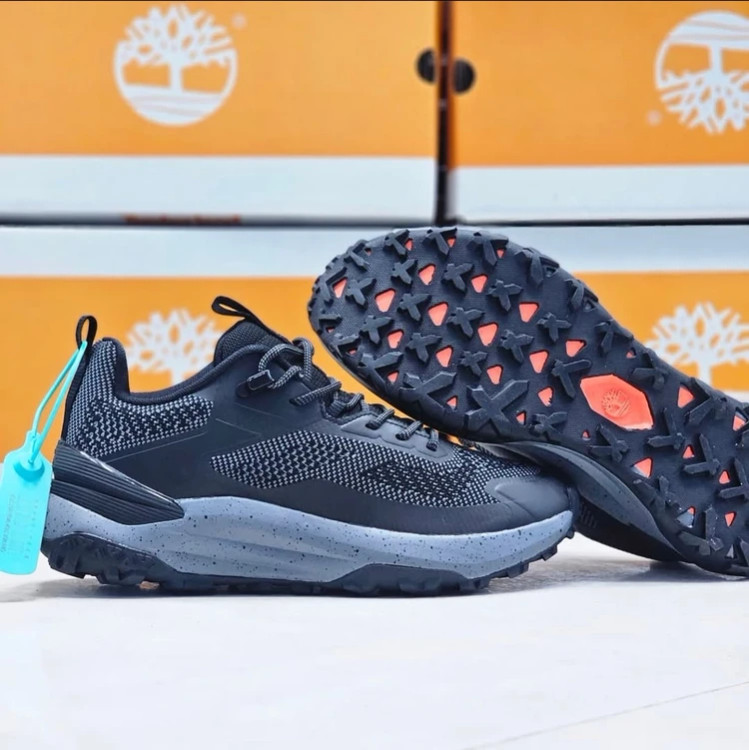 کتونی تیمبرلند ویتنامی وارداتی - سایز 40 تا 45 - Timberland Access Low