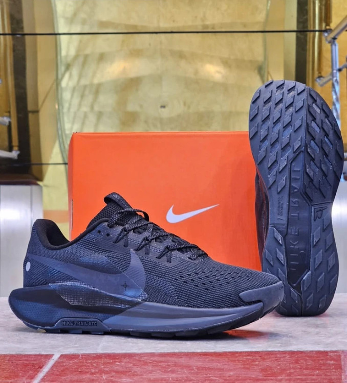 کتونی نایکی پگاسوس تریل 5 کیفیت مستر - سایز 40 تا 45 - Nike Pegasus Trail 5